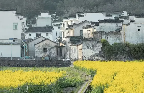 黃山包車|龍川景區+千年仁裏+古鎮上莊包車一日遊