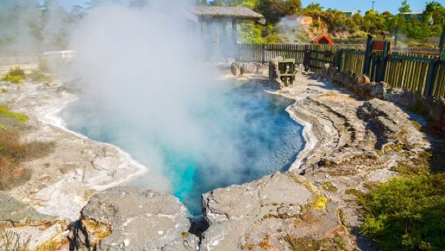 New Zealand · Auckland Lawatan Sehari ke Kampung Hobbit + Kampung Budaya Maori Te Puia dengan Sewaan Peribadi