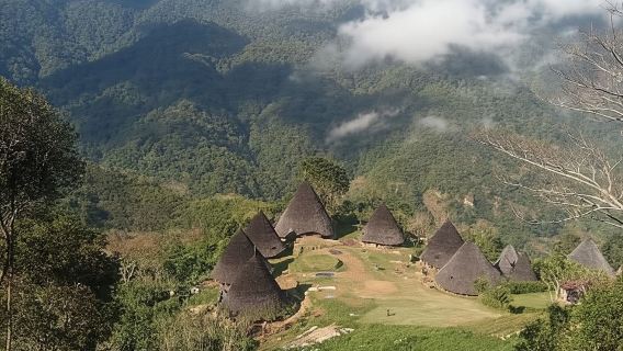 Labuan Bajo: gita di un giorno al villaggio di Wae Rebo con trekking