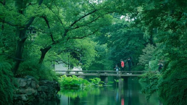 Humble Administrator's Garden Live Guide|Multiple Packages Available (Admission Ticket Booking Service Provided)