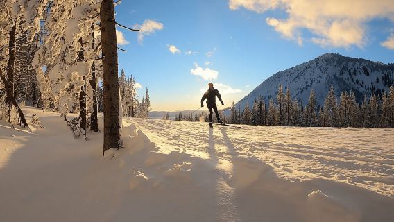 Lake Tahoe: Guided Cross Country Skiing Tour