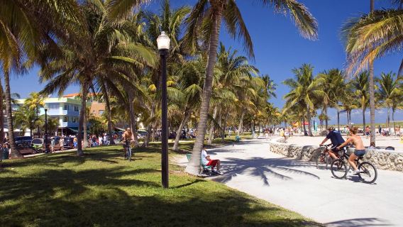 tour di un giorno a Miami City e al Parco Nazionale delle Everglades