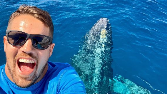 From Maalaea: Whale Watching Tour Aboard the Quicksilver