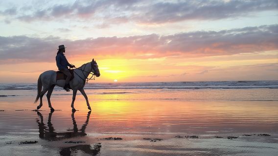 Horse riding at sunset for 2 hours