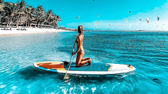 Tour riêng trong ngày tham quan đảo Gran Island cho nhóm nhỏ | Trải nghiệm lặn biển + Công viên nước + Bữa trưa hải sản