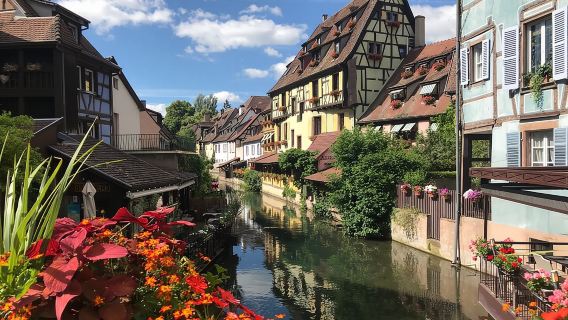 Private and customizable: Alsace Wine Route HIGHLIGHTS in 3 hours