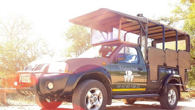 Kruger National Park Full-Day Safari from Hazyview