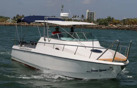 運動快艇 - 私人觀鯨之旅（免費早餐及付費接送服務）