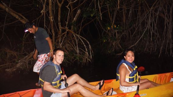 Perjalanan Kayak Teluk Bioluminescent dari Vieques