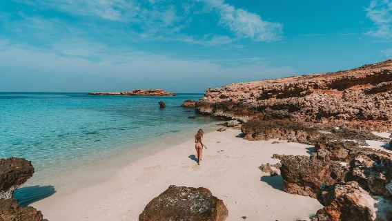 オマーンのデイマニヤット島でシュノーケリングとウミガメウォッチング【桟橋にて各自集合】