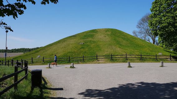 Guided Viking and vendel era walking tour in historic Uppsala