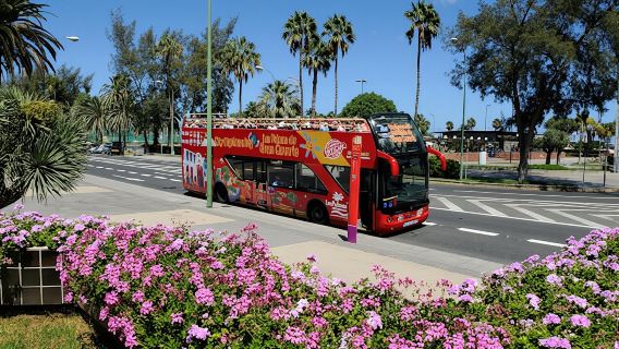 Hop-On Hop-Off Las Palmas de Gran Canaria 24hr Bus