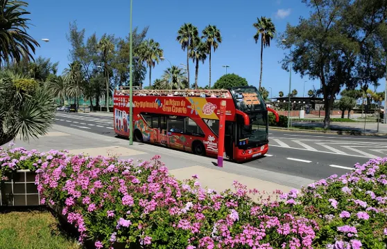 大加那利島拉斯帕爾馬斯隨上隨下觀光巴士（24小時）