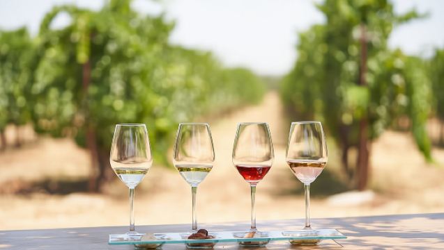 'Enoma wine tasting in Kos