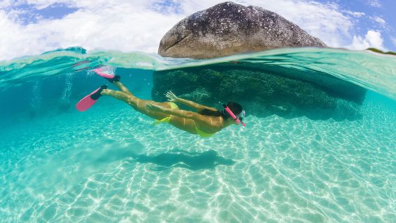 タイ パタヤ グラン島+モンキーアイランド 体験ダイビング&シュノーケリング 5時間【豪華カタマランヨット出航セーリングでグラン島へ シュノーケリング 海釣り 親子旅行 オプションルート】