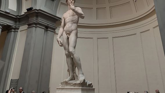 Ingresso rapido alla Galleria dell'Accademia con audioguida