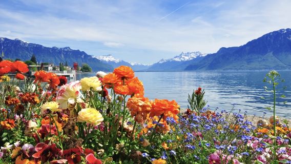 瑞士日內瓦-拉沃葡萄園-沃韋-蒙特勒【普通話專車-舒適純淨】