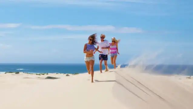 雪梨史蒂芬斯港一日遊【滑沙體驗/月影海豚遊船/無尾熊保護區】