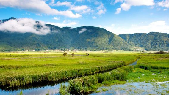 騰衝北海濕地+熱海一日遊【2-8人小團-可升級洞山溫泉體驗】