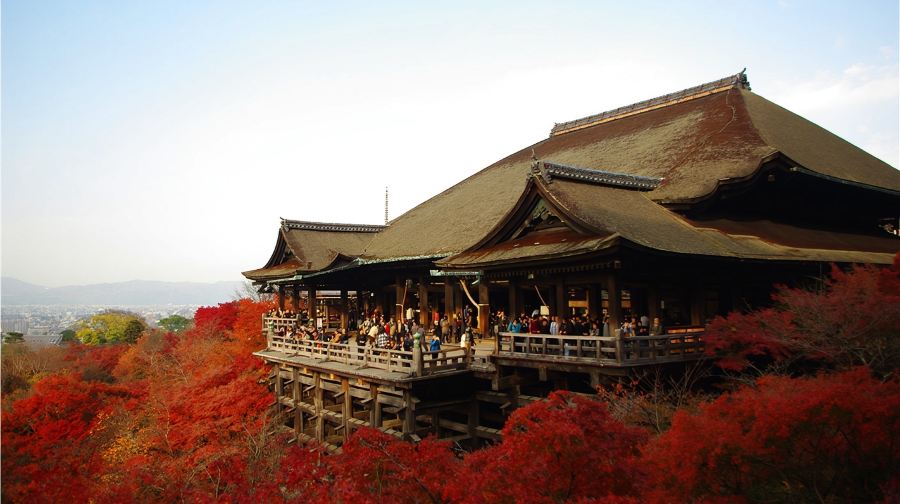 京阪電車| 京都觀光通票 24 小時票