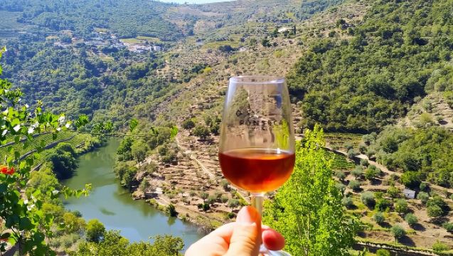 Douro Valley Premium-Tour: Weinverkostungen, Bootsfahrt & Mittagessen ab Porto