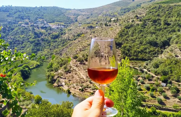 杜羅河谷精華遊：波爾圖出發的品酒、遊船及午餐之旅