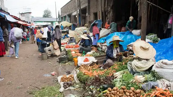ทัวร์เมืองแอดดิสอาบาบาเต็มวันพร้อมบริการรับส่งที่โรงแรม