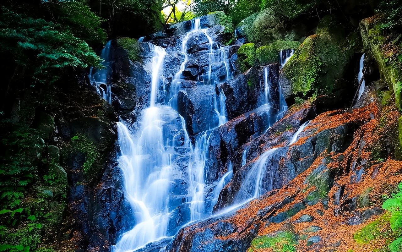 【福岡】雷山千如寺 大悲王院·一蘭拉麵之森·櫻井二見浦 夫婦岩一日遊