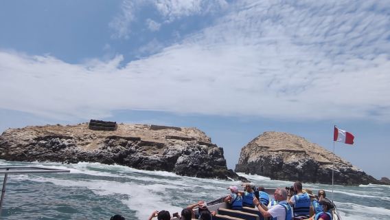 Ab Lima: Schwimmen mit Seelöwen auf den Palomino-Inseln