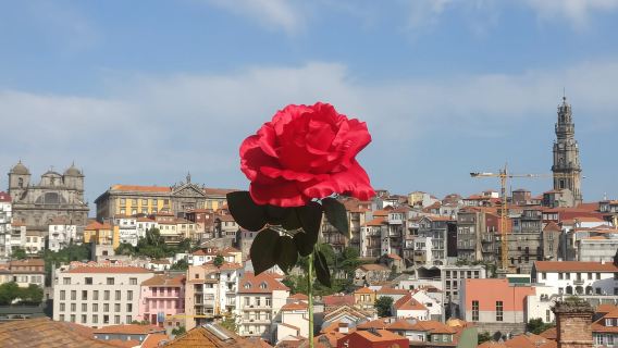 Porto: Guided Walking Tour with Clérigos Church