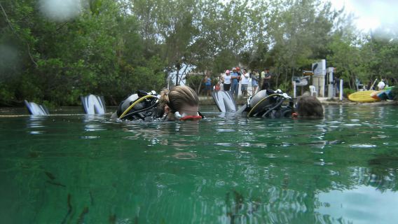 Tulum: scopri le immersioni subacquee nei cenote
