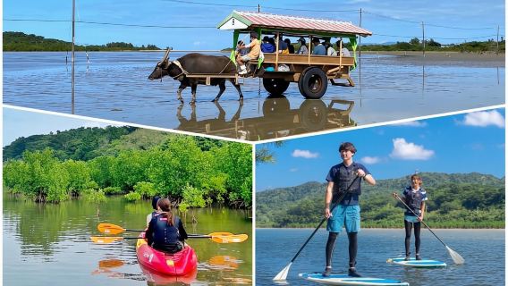 Iriomote: SUP atau Kano Mangrove dan tamasya Yubujima