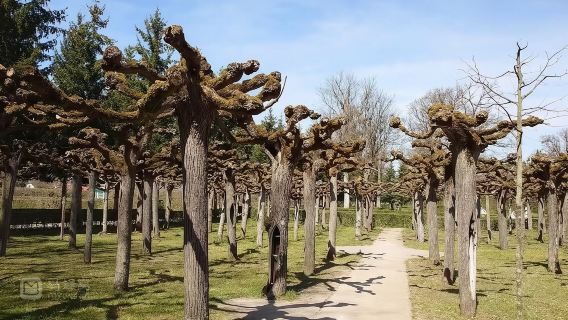 Excursion d'une journée à Würzburg : Vieux pont du Main, Résidence de Würzburg et Cathédrale Saint-Kilian