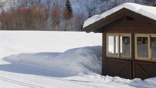 包車暢遊費尼斯城堡/奧斯塔古城/庫馬約爾/滑雪場