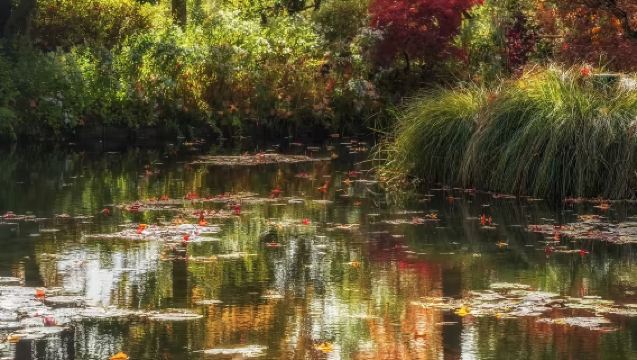 法國巴黎凡爾賽宮+莫奈花園和故居+吉維尼小鎮（拼團不含門票）