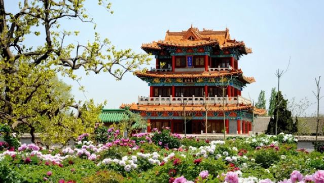 【山東菏澤】老城曹州+商業街等遊玩景點|行程可更改