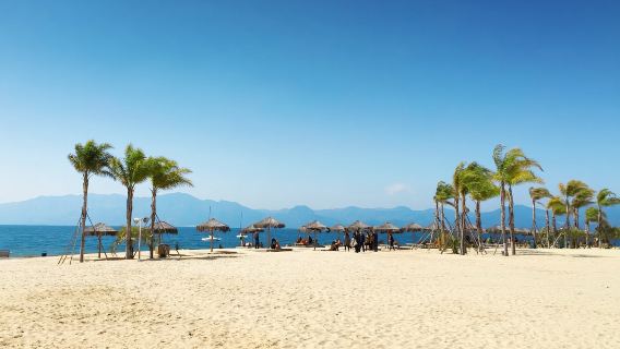 昆明+撫仙湖+祿充月亮灣+粉紅沙灘+網紅花海一日遊·8人小團