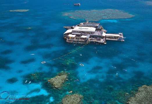 Australia Silver Swift Great Barrier Reef 1-day tour with optional helicopter ride, scuba diving or reef walk available for purchase AUD 462.8
