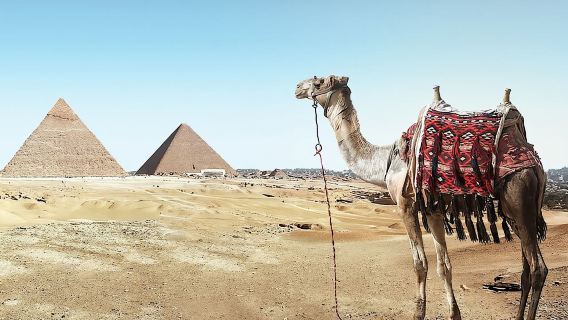 Visit Cairo Over Day, Pyramids, Egyptian Museum, and Lunch - Sharm El Sheikh