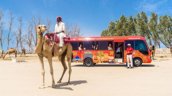 Full-Day Bahrain Guided Tour