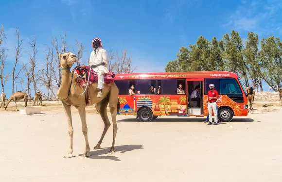 巴林全日導賞團