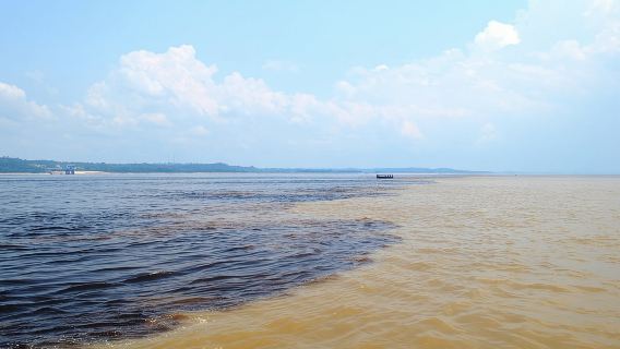 Halbtages-Expedition auf dem Amazonas-Fluss (River Negro)