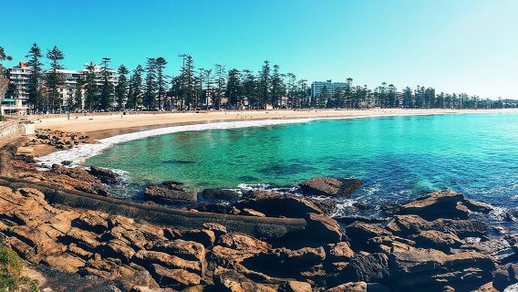 Private Sydney Tour Including Sydney Opera House, Bondi and Manly