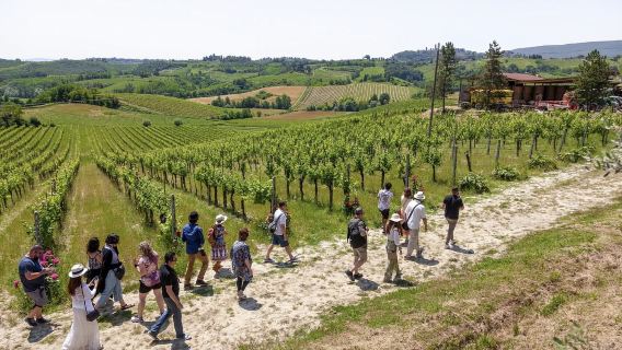 1-day tour to Siena, San Gimignano and Pisa in Florence, Italy (English-speaking group)