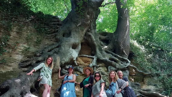 A Tour of Glastonbury, Guided by the Trees.