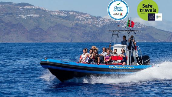 Ngắm cá heo - cá voi - rùa - chim