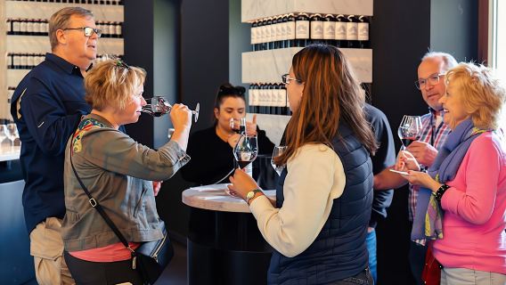 Tour enologico di mezza giornata nel Médoc