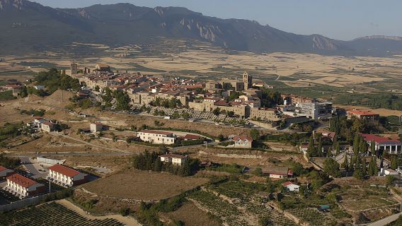 Vitoria and Rioja wine region with winery visit full-day tour from Bilbao