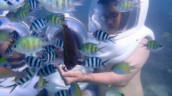 Paseos submarinos en Semporna con servicios de fotografía