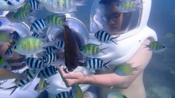 셈포르나 수중 산책 및 사진 촬영 서비스